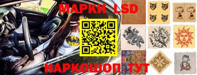 шишки Обнинск