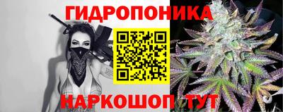 Альфа ПВП Обь