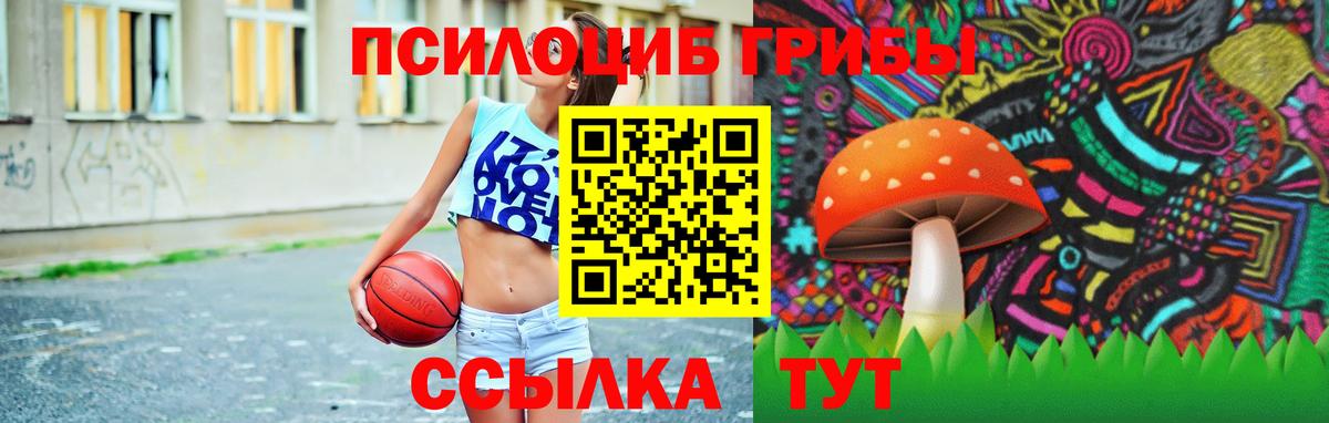 Сокол  Галлюциногенные грибы Psilocybine cubensis  Вход с VPN  Галлюциногенные грибы Cubensis 