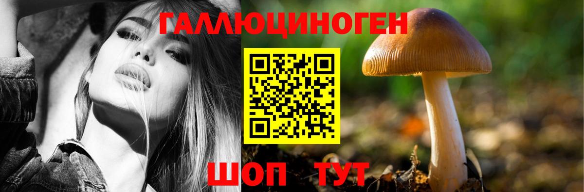 Псилоцибиновые грибы MAGIC MUSHROOMS Сокол