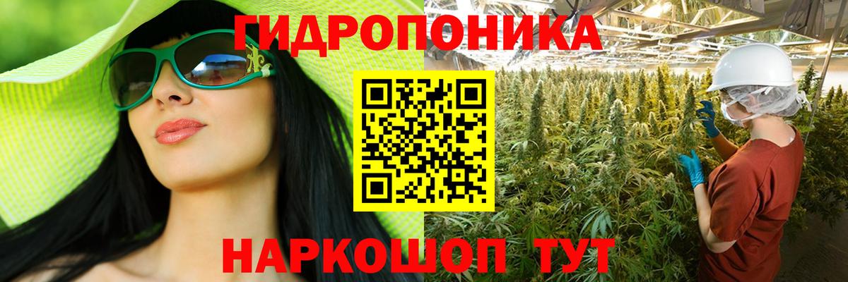 Сокол  Бошки марихуана Ganja  Конопля марихуана  Вход с VPN 